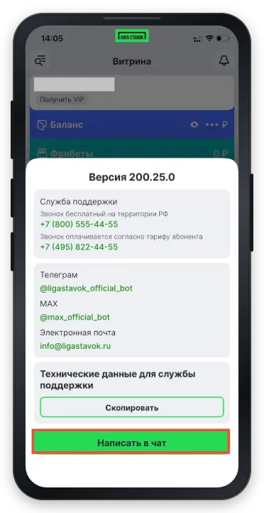 Как разблокировать аккаунт в Лиге Ставок через чат поддержки