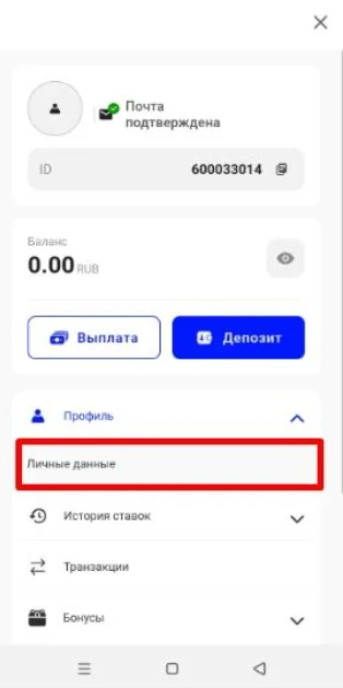 Идентификация в БК Бет-М