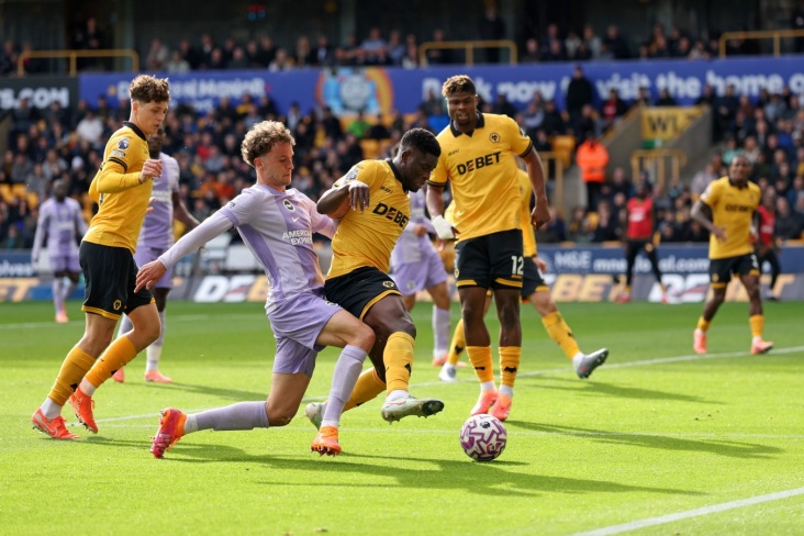 Противостояние Вулверхэмптона и Брайтона