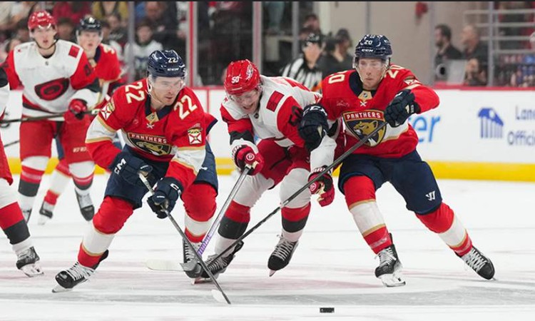 Прогноз на матч Каролина – Флорида