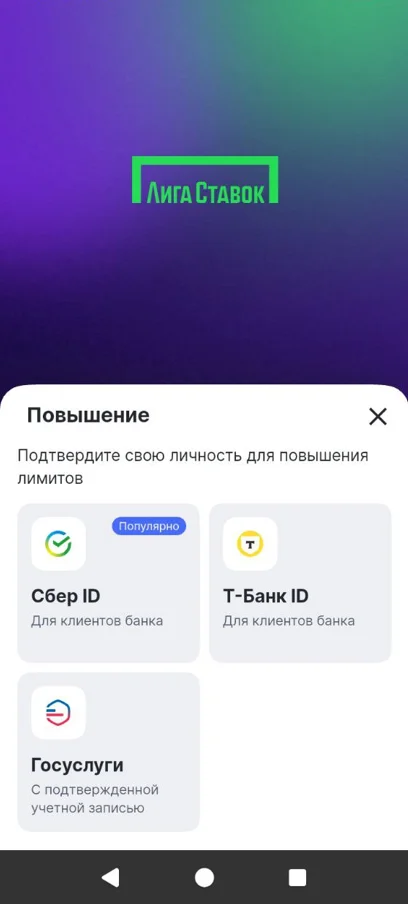 Подтверждение личности в приложении Лига Ставок
