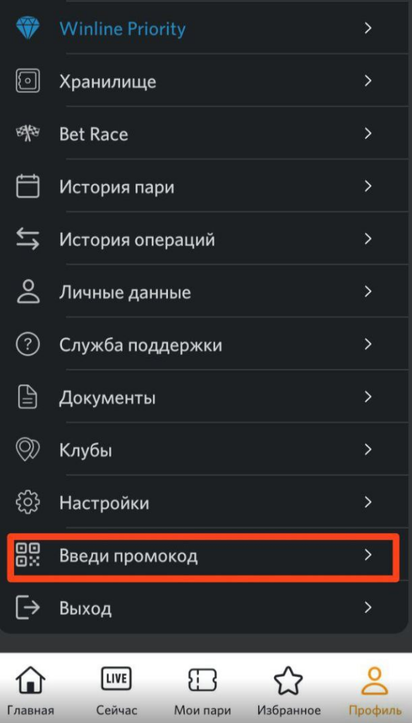 Окно для ввода промокода