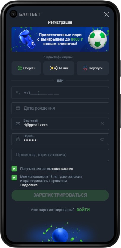 Анкета регистрации с телефона в Балтбет