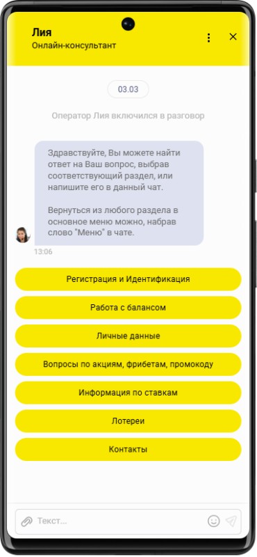 Техподдержка в БК Бетбум