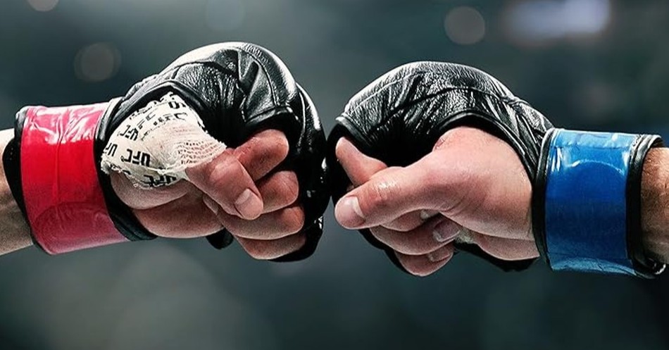 Расписание боев UFC на 2026 год