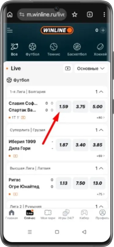 Как выбрать ставку на фрибет в Винлайн