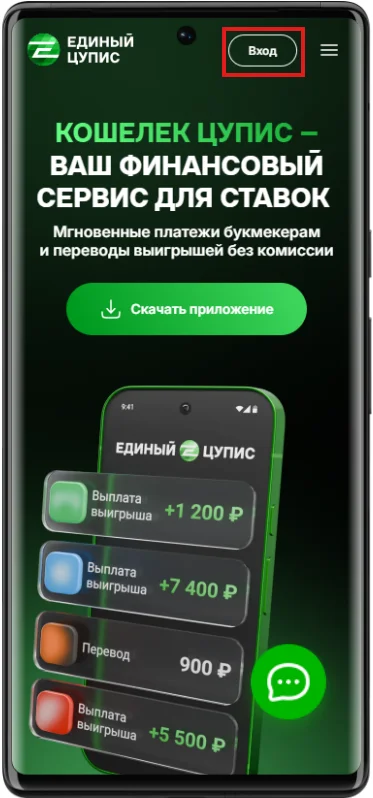 Как зарегистрироваться в ЦУПИС с телефона