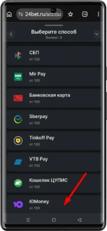 Как пополнить счет с помощью электронного кошелька в БК 24бет