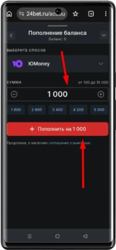 Куда вводить сумму пополнения через ЮМани в БК 24Бет