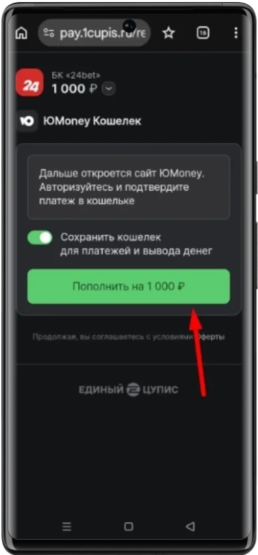 Как подтвердить депозит ЮМани в 24бет