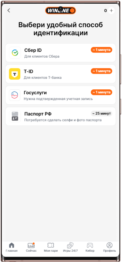 Прохождение идентификации в Винлайн