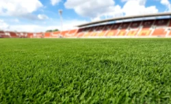 FIFA запускает беспрецедентный эксперимент с травой на...