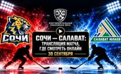 Сочи — Салават Юлаев: где смотреть матч и во сколько...