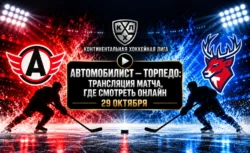 Автомобилист — Торпедо: где смотреть матч 29 октября...
