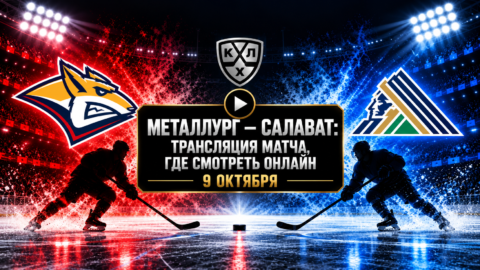 Металлург — Салават Юлаев: где смотреть матч и во...