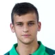 Adam Dźwigała