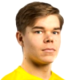 Arttu Heinonen