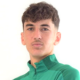 Henry Bates Andreou