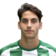 Ludovit Reis