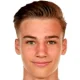Tim Lemperle