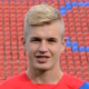 Vladan Danilović