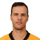 David Krejci