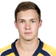 Vladislav Kamenev