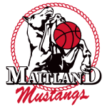 Maitland Mustangs