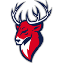 Торпедо Нижний Новгород